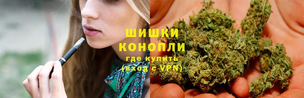 гидропоника Вяземский