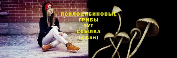 гидропоника Вяземский