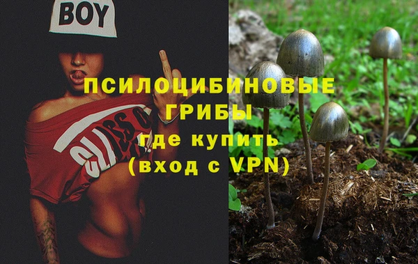 гидропоника Вяземский